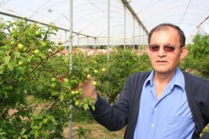 İlk erik 300 liradan satıldı!
