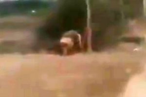 İmha etmeye &ccedil;alıştığı bomba patladı