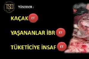 T&uuml;soder: Ka&ccedil;ak et girişlerine karşı denetimler artırılmalı