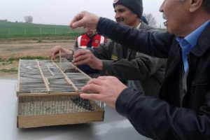 Ka&ccedil;ak kuş yakalayan avcıya 5 bin lira ceza