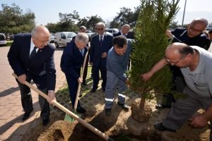 Buttim'de fidanlar toprakla buluştu