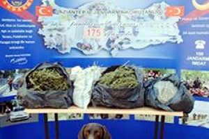 &Uuml;zerinde 4 kilo esrar ele ge&ccedil;en Suriyeli tutuklandı