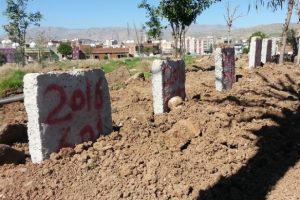 Cizre'ye d&ouml;n&uuml;ş