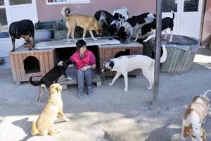 Antalya'da satın aldığı arsaya barınak yaptı