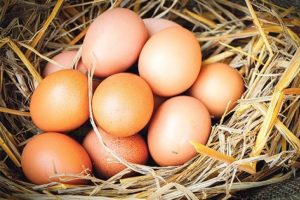 Bursa&nbsp;Ticaret Borsasında yumurtanın fiyatı ne oldu?