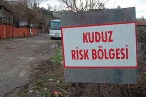 Ergani'de kuduz vakası