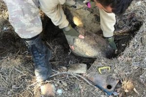 PKK'ya ait gıda depoları ele ge&ccedil;irildi