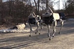 Google'ın robotu k&ouml;pekle oynadı!