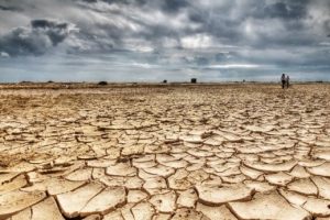 2050'ye kadar yarım milyon insan &ouml;lecek