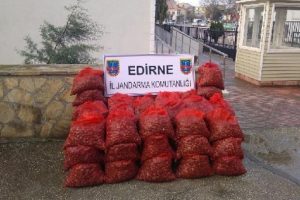 Yunanistan'a ka&ccedil;ırılmak istenen 1.5 ton midye ele ge&ccedil;irildi