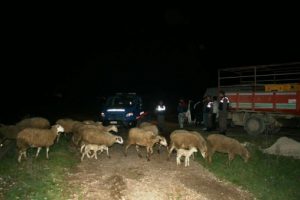 Bursa'dan &ccedil;alıp, Pendik'te satmak istediler