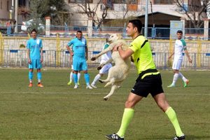 Davetsiz misafire hakem m&uuml;dahelesi!