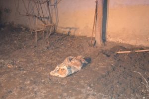 Denizli'de soğan ekerken ceset buldu