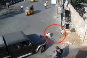 Cip dilenciyi b&ouml;yle ezdi