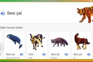 Google aramalarında artık hayvan sesleri de olacak