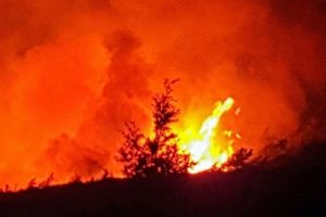 Marmaris'teki orman yangını kontrol altında