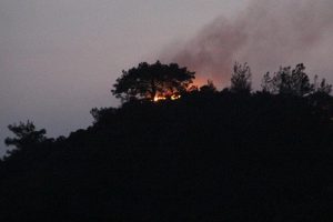 Marmaris'te 40 hektar orman yandı