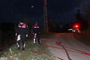 Ordu'da &ccedil;ıkan orman yangını g&uuml;&ccedil;l&uuml;kle s&ouml;nd&uuml;r&uuml;ld&uuml;