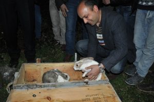 Bursa'da ş&uuml;pheli sandıktan tavşan &ccedil;ıktı