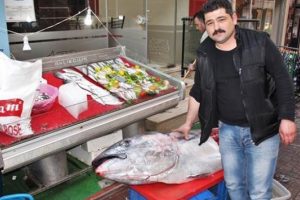 Aydın'da yakalanan orkinosun midesinden 20 kilo hamsi &ccedil;ıktı