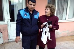 Havalandırma boşluğuna d&uuml;şen kediyi zabıta kurtardı