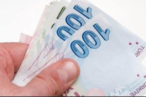 &Ccedil;alışma Bakanı Soylu'dan &ouml;nemli emekli a&ccedil;ıklaması