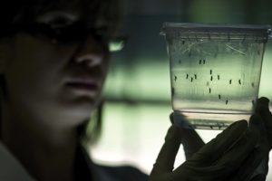 201 Zika vir&uuml;s&uuml; vakası!