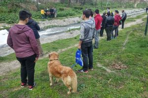 Bursa'da k&ouml;pekleri uğruna dereye atladılar!