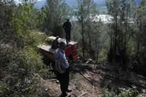 Osmaniye'de 30 d&ouml;n&uuml;m kızıl&ccedil;am ormanı yandı
