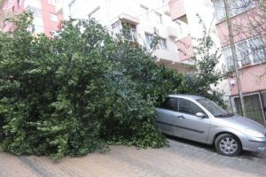 İstanbul'da ağa&ccedil; devrildi, yol kapandı