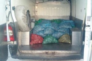 Edirne'de 1 ton 340 kilo ka&ccedil;ak midye ele ge&ccedil;ti