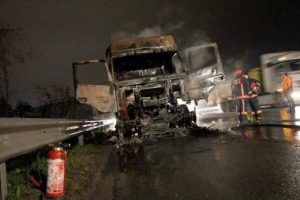 Sakarya'da motoru tutuşan TIR yandı