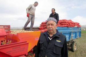 Patates &uuml;reticileri sezona umutlu başladı