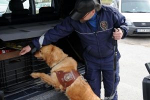 &Ccedil;anakkale'de 18 Mart &ouml;ncesi K-9 k&ouml;peğiyle ara&ccedil; kontrol&uuml;