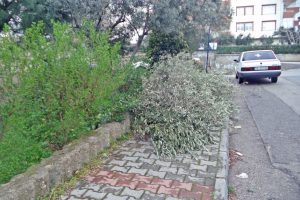 Bursa Mudanya'da &ccedil;evre kirliliğine m&uuml;dahale