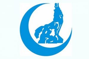 Ülkü Ocakları'ndan yıl boyu Ahmet Yesevi etkinlikleri