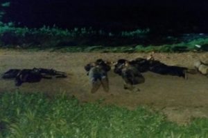 T&uuml;rkiye'ye sızmaya &ccedil;alışırken kıskıvrak yakalandılar!