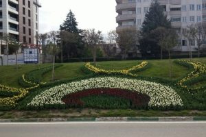 Bursa'da lale devri