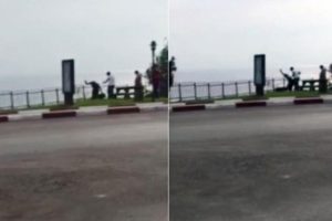 Kedi katliamına hapis cezası