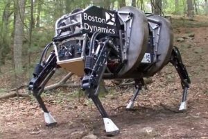 Google robotlarını bir bir satıyor