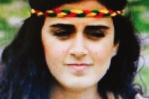 'Gerekirse ben de PKK ile savaşırım'