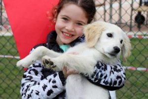 K&ouml;pekler birincilik i&ccedil;in yarıştı