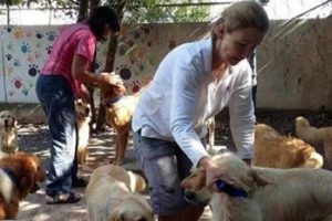 Hayvanseverler ka&ccedil;ak&ccedil;ılıkla su&ccedil;lanıyor