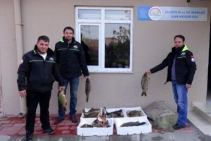 Barajdan ka&ccedil;ak avlanan 100 kilo balığa el konuldu
