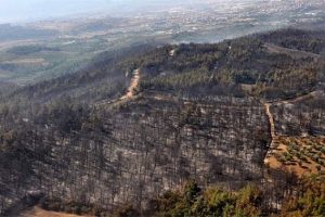 Bursa Mudanya'da yanan ormanlık alan i&ccedil;in buluştular