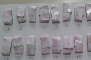 K&uuml;tahya'da 3 kişiden 300 bonzai &ccedil;ıktı