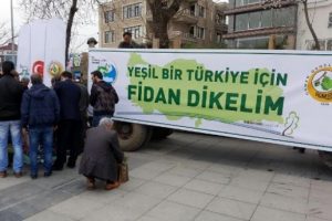 D&uuml;zce'de 7 bin &uuml;cretsiz fidan dağıtıldı