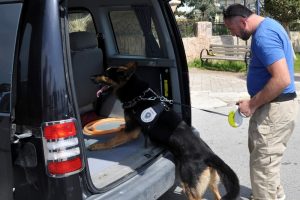 Antalya'da bomba 'Google'dan sorulur