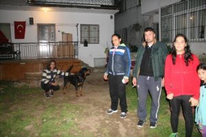 Mahalleli ayaklandı: Marmaris'te hayvan n&ouml;beti