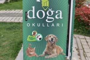Bursa'da sokak hayvanlarının mamalarını &ccedil;aldılar